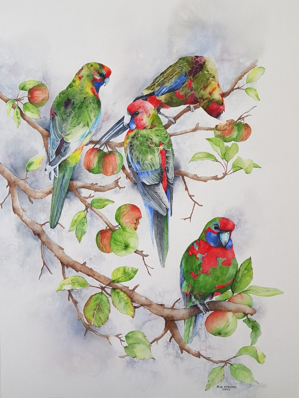 Parrot Picnic