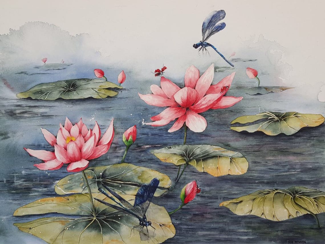 Water Lily