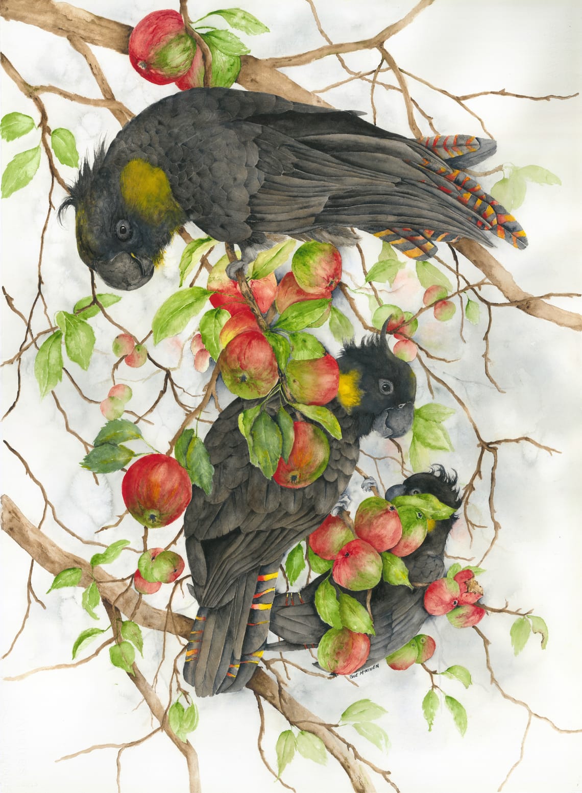 Three Feathery Foragers