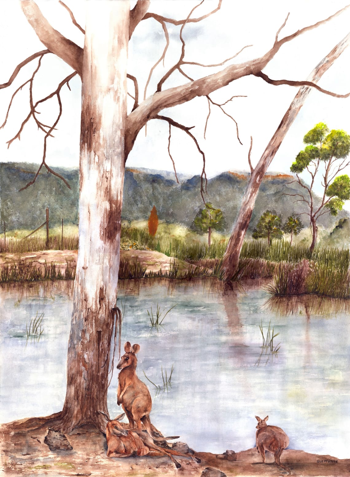 Glenrock Tranquility