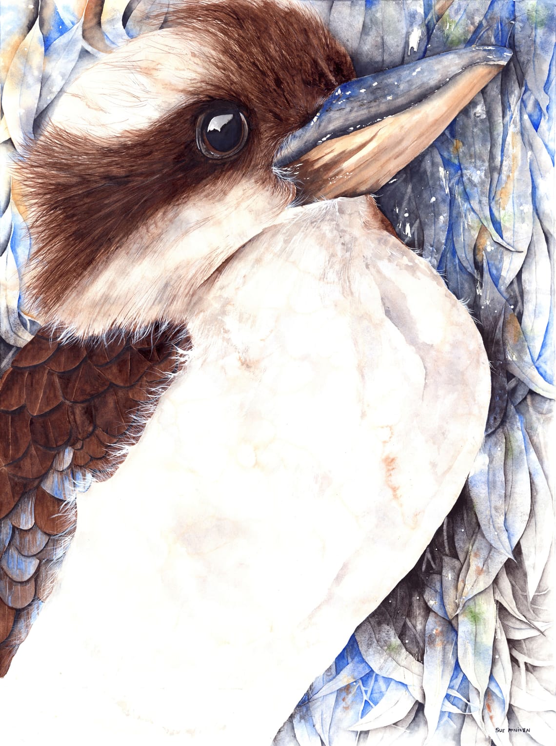 Laughter Amongst the Blue Gums