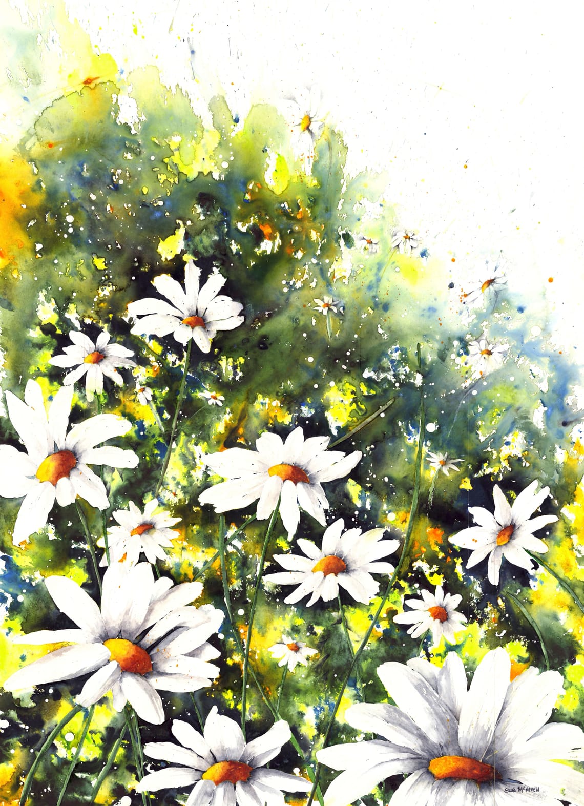 Daisy Dreamscape