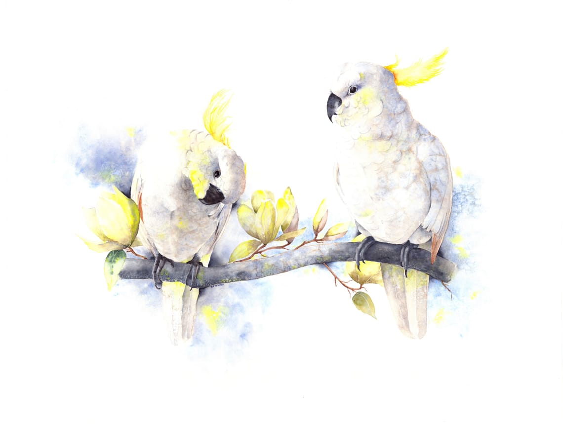 Whispers in White and Gold