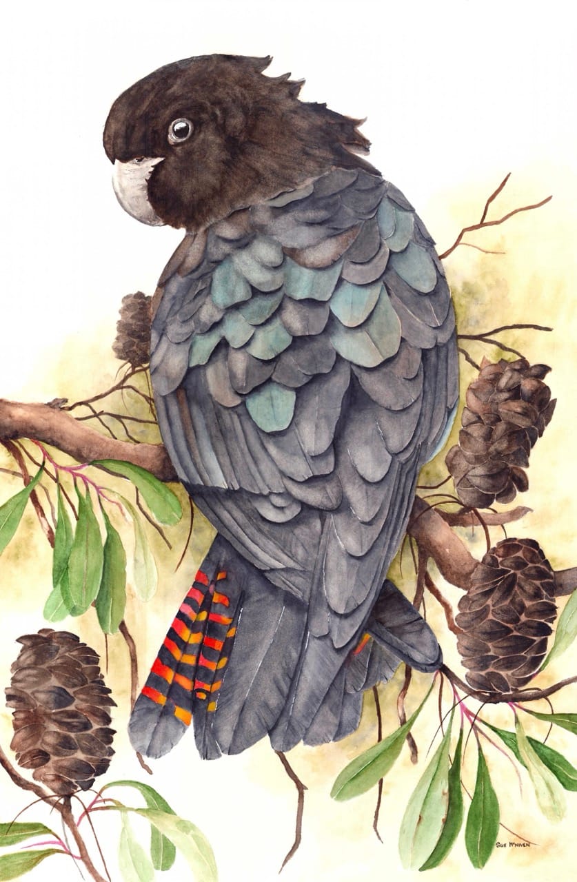Spirit of the Bush