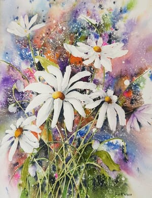 Daisy Pop