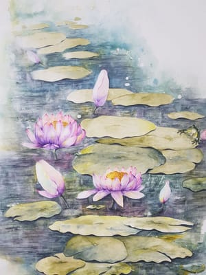 Frog Pond