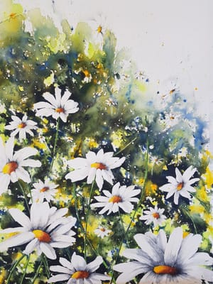 Daisy Dreamscape