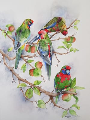 Parrot Picnic