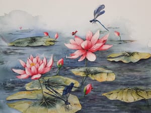Water Lily