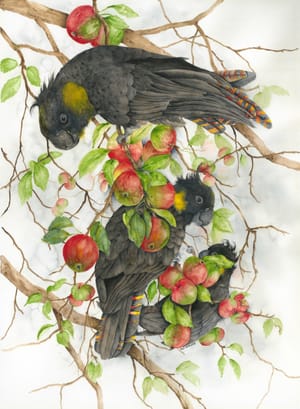 Three Feathery Foragers