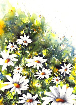 Daisy Dreamscape