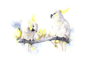 Whispers in White and Gold